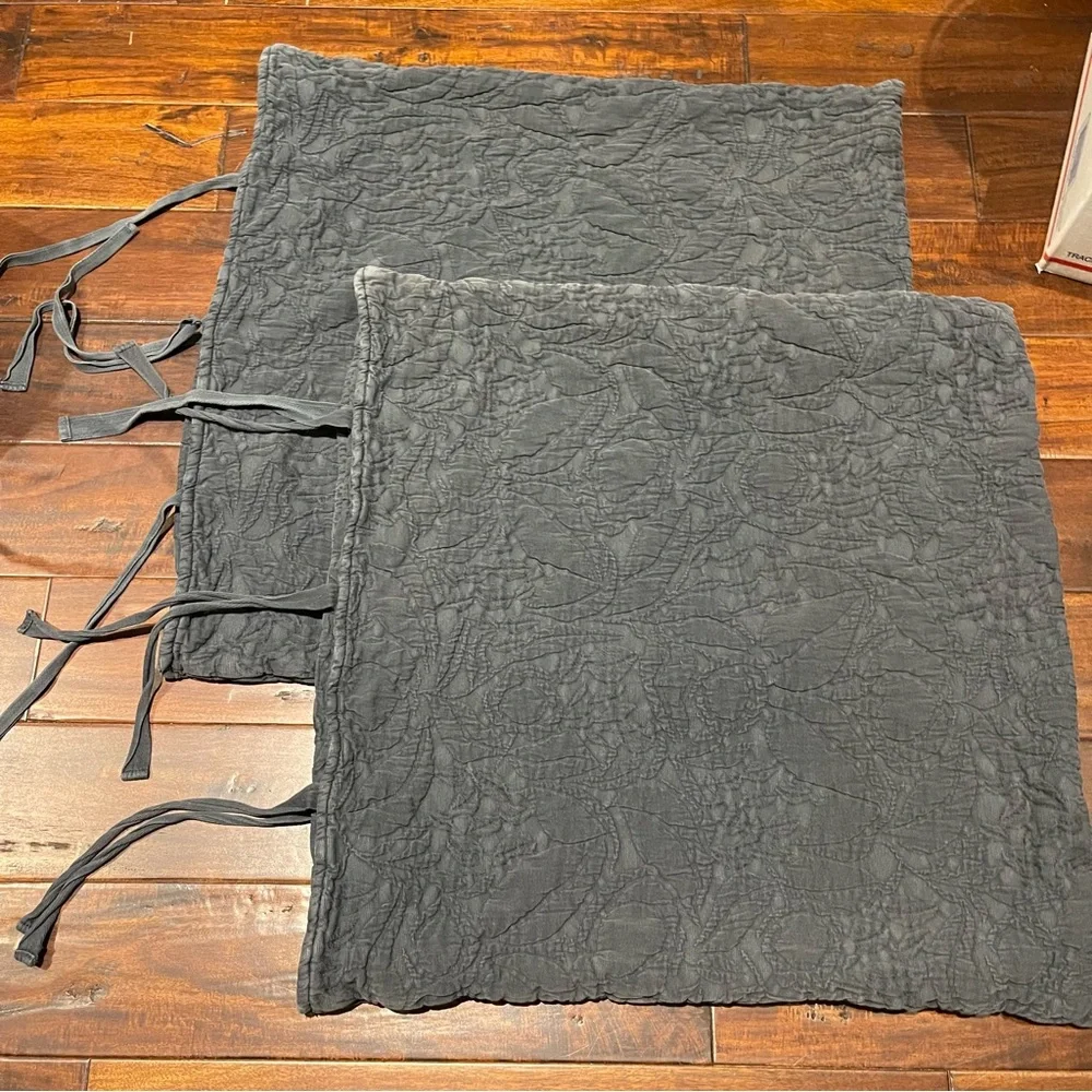2 Pottery Barn euro shams